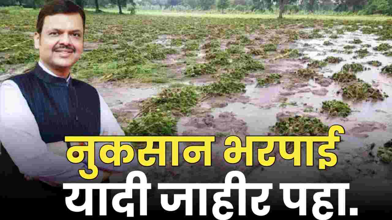 Nuksaan bharpaai 2025