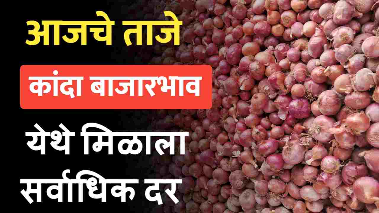 Onion market 24 September