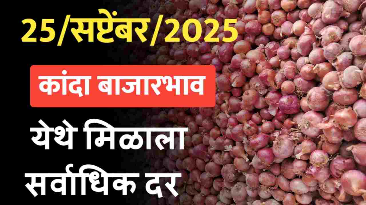 Onion market 25 September