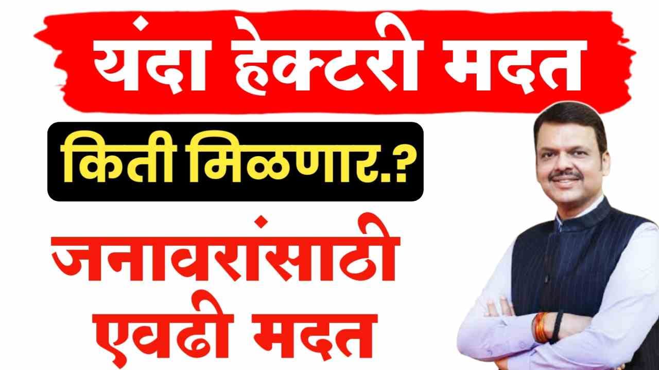 हेक्टरी मदत किती