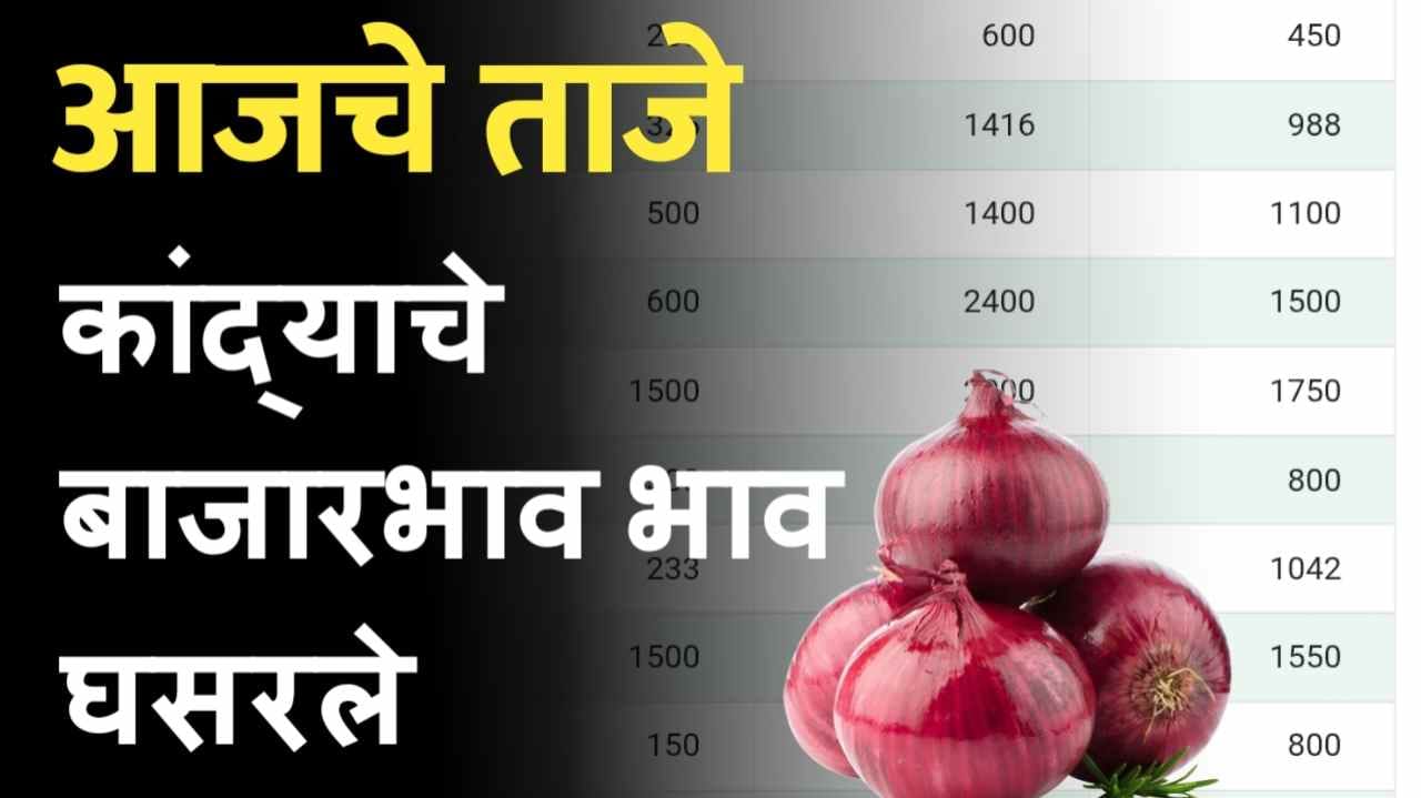 Onion price 28 September