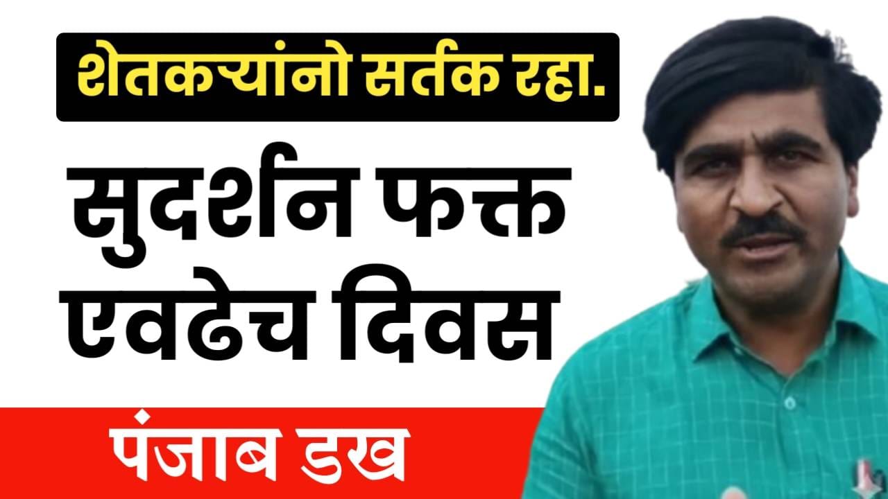 Panjab dakh rain update