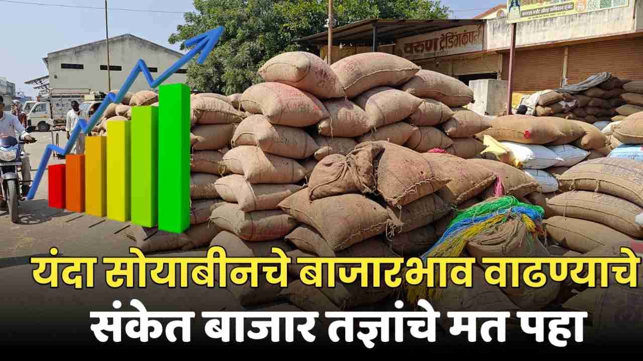 यंदा देशात सोयाबीनचे