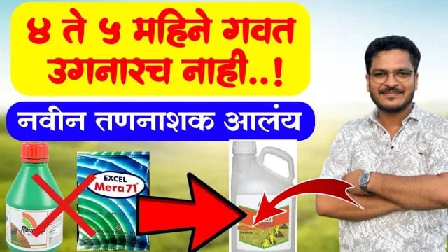 Bayer's new herbicide