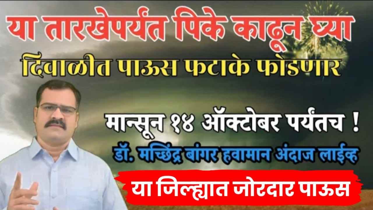 डॉ मछिंद्र बांगर