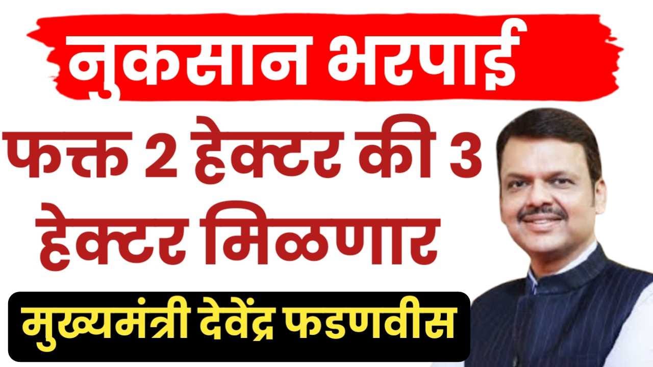 नुकसान भरपाई दोन