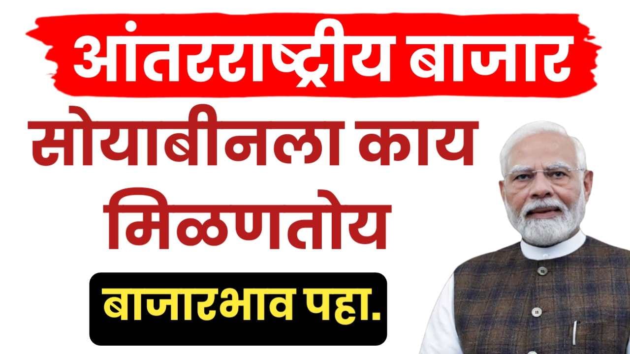 आंतरराष्ट्रीय बाजारात सोयाबीन